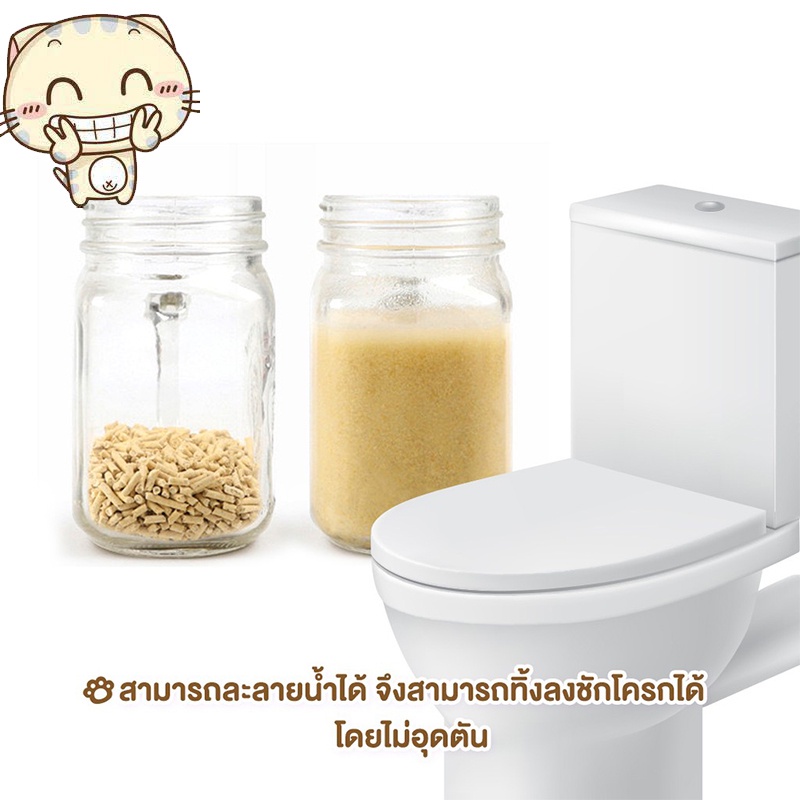 รูปภาพ 5