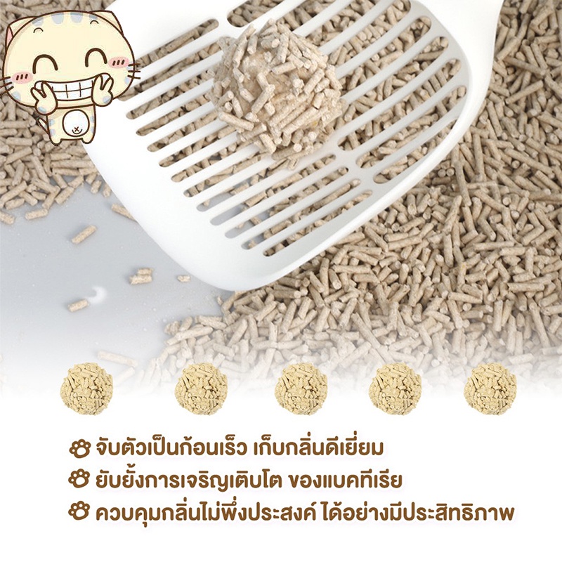 รูปภาพ 6