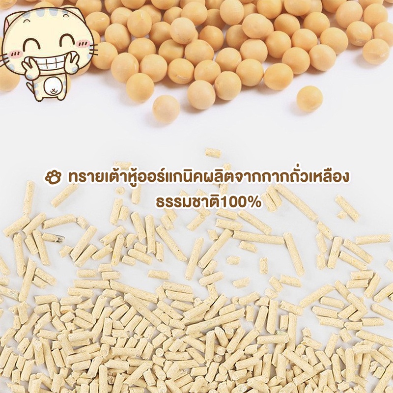 รูปภาพ 8