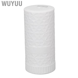 Wuyuu Roller   Roll On Antiperspirant Cool Portable 40g Convenient Use for Summer