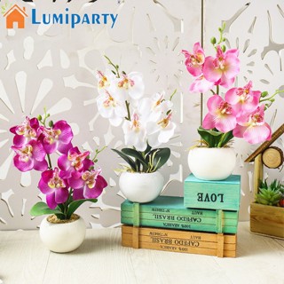 Lumiparty กระถางกล้วยไม้ประดิษฐ์ ผีเสื้อ ต้นบอนไซปลอม สําหรับตกแต่งบ้าน ห้องนอน ห้องนั่งเล่น