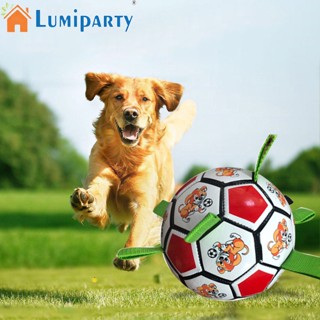 Lumiparty ของเล่นฟุตบอล พร้อมเชือกกัด อเนกประสงค์ สําหรับสัตว์เลี้ยง สุนัข