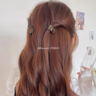 Kf666 2PCS เกาหลีแฟชั่นเรียบง่ายสาวมินิขนาดอะซิเตทผมเรียบกรงเล็บคลิป clamp grip อุปกรณ์เสริมผู้หญิง