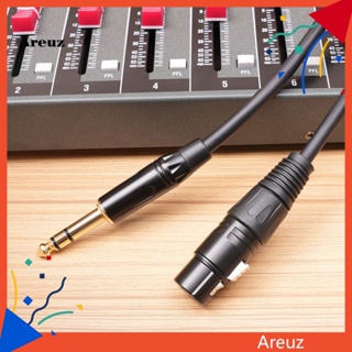 Are สายสัญญาณเสียง Xlr 1/4 Trs ตัวผู้ เป็น Xlr ตัวเมีย สําหรับเครื่องผสมไมโครโฟน 48v