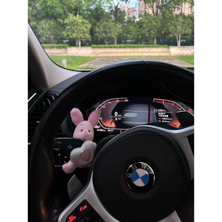 New Style Adorable Cartoon Little Pig Love Huai Gear Controller Decorative Turn Signal Wiper Doll Cute Car Creativity Car Ornament Car interior decoration - รูปที่ 2