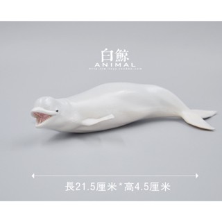 โมเดลสัตว์ทะเลจําลอง Beluga