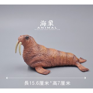 โมเดลการ์ตูนสัตว์ทะเล Walrus ของเล่นสําหรับเด็ก