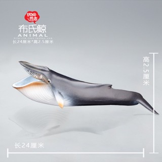 โมเดลการ์ตูนสัตว์ ปลาวาฬ Bus Whale ของเล่นสําหรับเด็ก