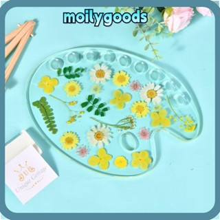 Moilyhd พาเลทสีทาเล็บ อุปกรณ์แต่งหน้า