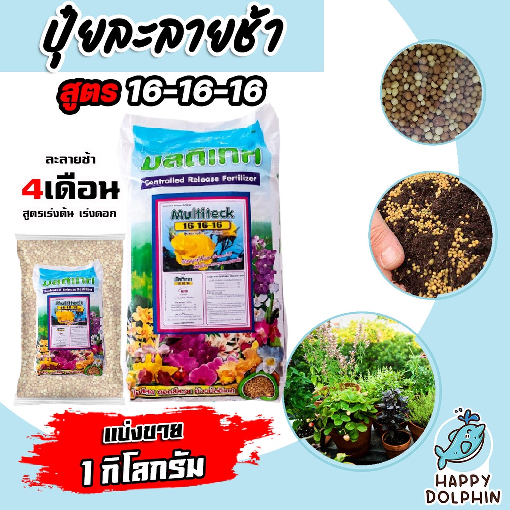 ปุ๋ยละลายช้า สูตร 16-16-16 มัลติเทค แบ่งขาย 1กิโลกรัม ละลายช้า 4เดือน ปุ๋ยต้นไม้ ปุ๋ยแคตตัส ปุ๋ยบำรุ