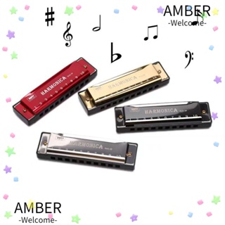 Amber เครื่องดนตรีฮาร์โมนิก้า เรซิน 10 หลุม ของขวัญ สําหรับผู้เริ่มต้น