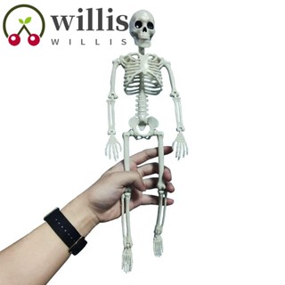 Willis โมเดลโครงกระดูกมนุษย์ สําหรับตกแต่งภายในรถยนต์ ฮาโลวีน