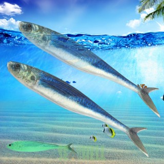 [Seashell02.th] เหยื่อตกปลาประดิษฐ์ 3D 12.5 16 ซม. สําหรับตกปลา ปลาทูน่า ปลาทูน่า ปลาทูน่า ปลาทู ปลาทู ปลาทู ปลาทู ปลาทู ปลาทูเคอเรล 2 ชิ้น