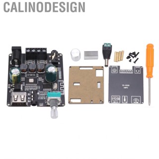 Calinodesign Stereo  Digital Power Amplifier Module  Restore Scene  Board 2 X 50W for Home Theater