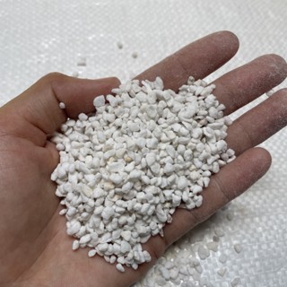 ยกกระสอบ 50 ลิตร เพอร์ไลท์(Perlite) 4-8mm. เกรดนำเข้า ฝุ่นน้อย วัสดุปลูก แคคตัส ไม้อวบน้ำ กระบองเพชร