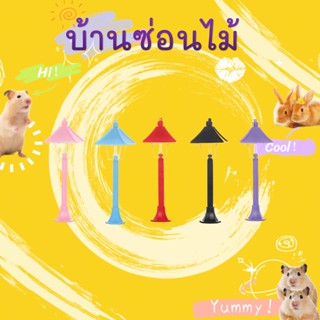 ♥hammyscience ♥ ไฟถนนจัดสวนไฟริมถนนแบตเตอรี่ในตัวหนูแฮมสเตอร์เม่นมักกะโรนีรังหม้ออาหารเครื่องประดับจัดสวน