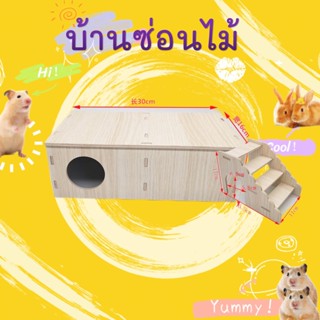 [hammyscience] หนูแฮมสเตอร์อเนกประสงค์ห้องนั่งเล่นบ้านหลังเล็กบ้านหนีเขาวงกตของเล่นรังอุปกรณ์จัดสวนหมีทองบ้านไม้