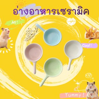 ♥hammyscience♥ กะทะจิ๋ว ชามอาหาร สำหรับสัตว์เลี้ยง