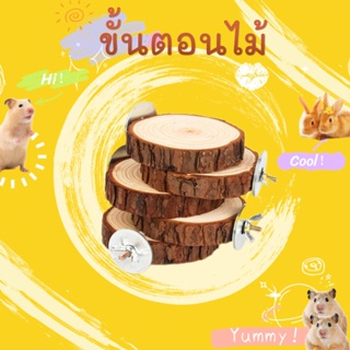 hammyscience นกแก้ว กระรอกกระโดดกระโดดคันเร่งฟันกราม ปีนป่ายอุปกรณ์สําหรับสัตว์เลี้ยง