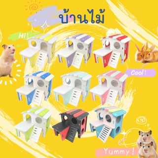 【hammyscience】บ้านแฮมสเตอร์ Carno บ้านหลังคาโค้งชั้นเดียว สำหรับสัตว์เลี้ยง
