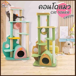 คอนโดน้องแมว รุ่น SC-05 คอนโดสีเขียว CAT-TOWER พร้อมที่ลับเล็บแมว พร้อมส่ง!!! บ้านแมว