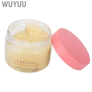 Wuyuu Dry Scalp  Scrub   Ginger 150ml for Oily Hair Washing