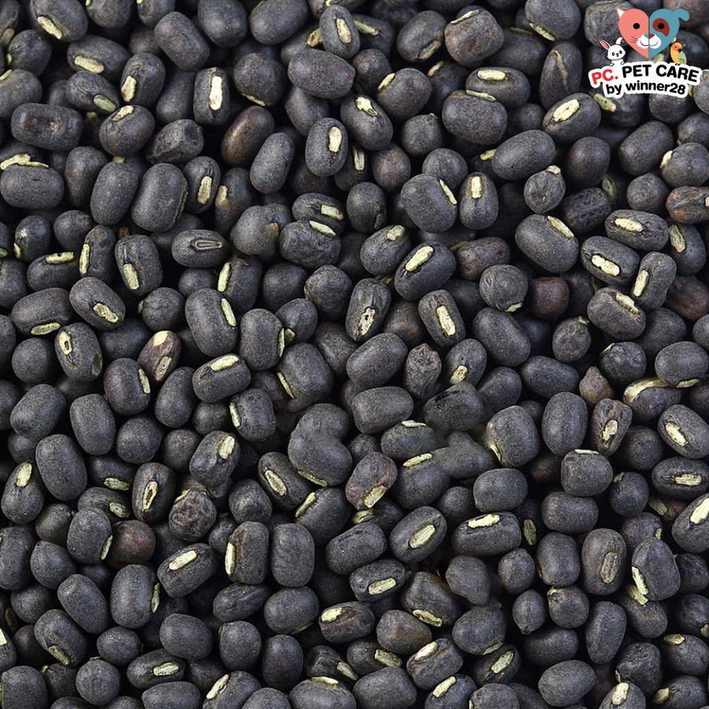 ถั่วเขียวผิวดำ black beans อาหารนก หนู กระต่าย กระรอก ชูก้า และสัตว์ฟันแทะ สินค้าคุณภาพดี (กระสอบ 25KG)