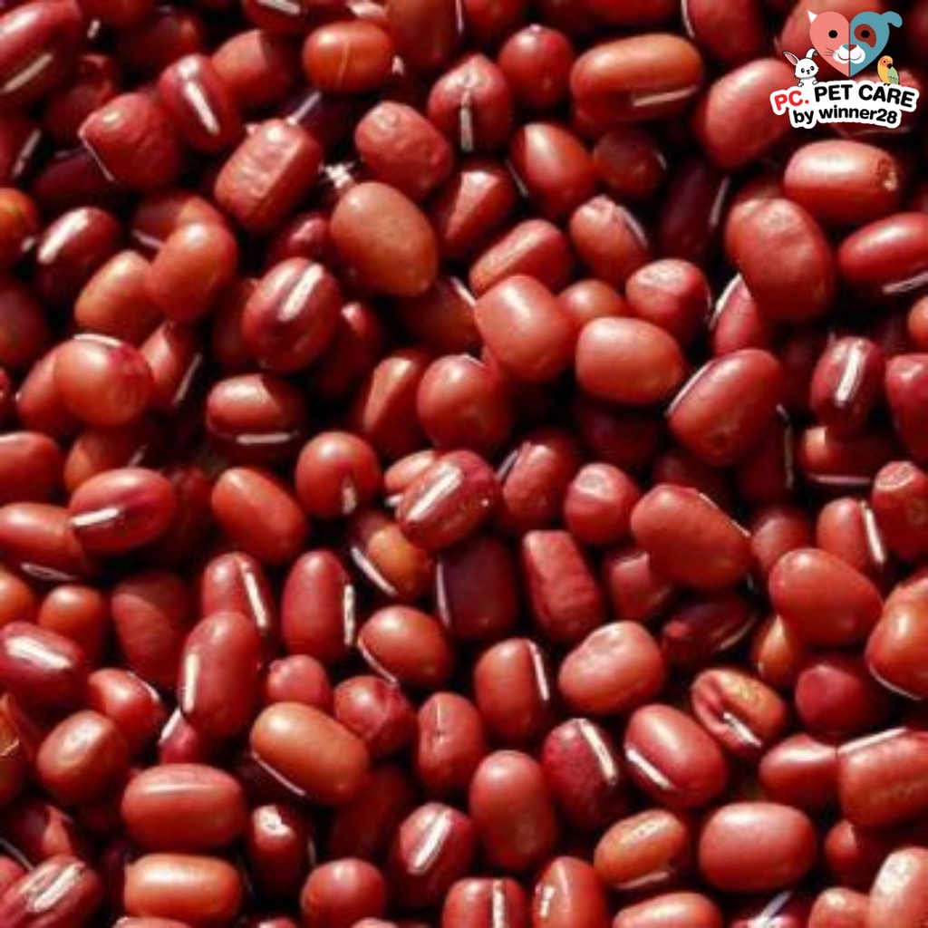 ถั่วแดงอะซูกิ azuki red beans อาหารนก หนู กระต่าย กระรอก ชูก้า และสัตว์ฟันแทะ สินค้าคุณภาพดี (กระสอบ 25KG)