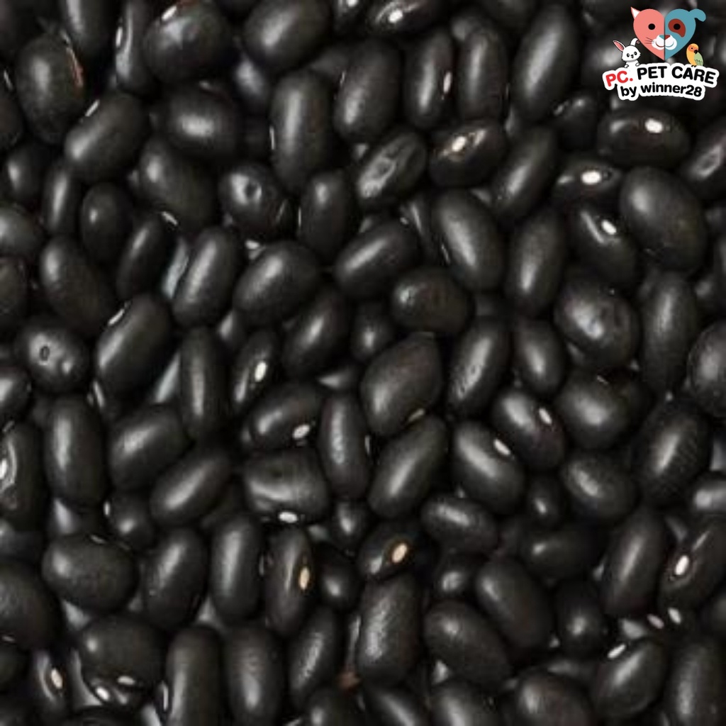 ถั่วดำไทย Thai black beans อาหารนก หนู กระต่าย กระรอก ชูก้า และสัตว์ฟันแทะ สินค้าคุณภาพดี (กระสอบ 25KG)