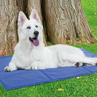 Pet Cool mat ที่นอนเจลเย็น สำหรับตว์เลี้ยง แผ่นเจลเย็น (PL102) พร้อมส่ง