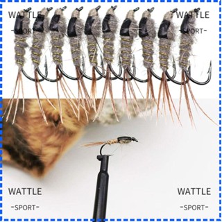 Wattle เหยื่อตกปลาเทราท์ ตะขอเกี่ยวหู Nymphs Fly 5 ชิ้น