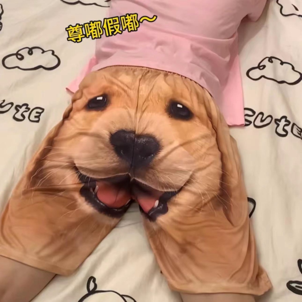 🐶ของแท้🐶金毛短裤🔥กางเกงขาสั้น ลาย Golden Retriever น่ารัก สร้างสรรค์ สําหรับคู่รัก แฟนหนุ่ม สุนัข