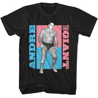 เสื้อยืด พิมพ์ลาย Andre The Giant สีพาสเทล สําหรับผู้ชาย