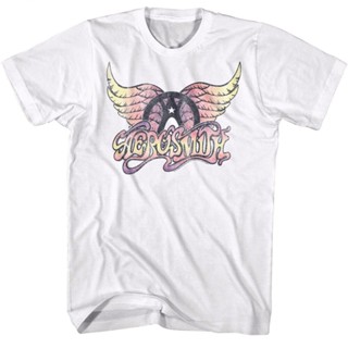 Aerosmith เสื้อยืด ลายโลโก้ปีกพาสเทล วงร็อค อัลบั้มคอนเสิร์ต ทัวร์เมอร์ช สําหรับผู้ใหญ่