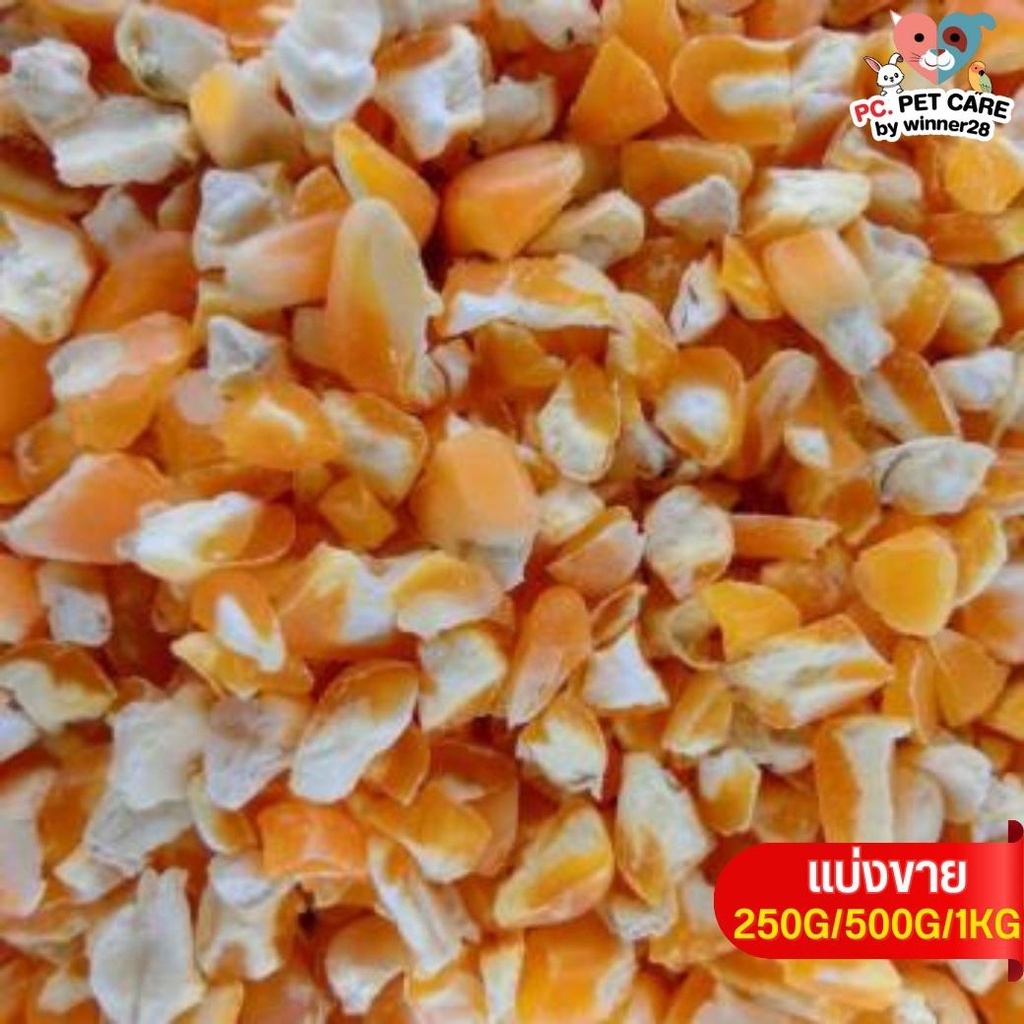 ข้าวโพดซีก corn flakes อาหารนก กระต่าย หนู กระต่าย กระรอก ชูก้า และสัตว์ฟันแทะ (แบ่งขาย 500G / 1KG)