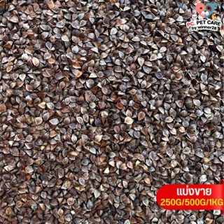 บัควีต BuckWeed สำหรับสัตว์ อาหารนก กระต่าย หนู กระต่าย กระร…