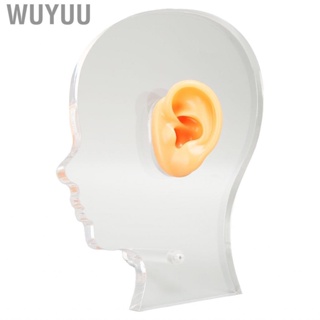 Wuyuu Ear Display Mold Professional Soft Silicone  False Model With