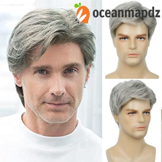 Oceanmapdz วิกผมสั้น ตรง นุ่ม สังเคราะห์ สีเทา ระบายอากาศ มองไม่เห็น ธรรมชาติ สําหรับผู้ชาย ใช้ทุกวัน