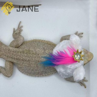 Jane หมวกมงกุฎ ตุ๊กตาเม่น จิ้งจก ขนาดเล็ก น่ารัก สําหรับสัตว์เลี้ยง