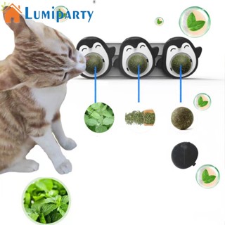 Lumiparty ลูกบอลแคทนิปธรรมชาติ รูปทรงเพนกวิน ของเล่นทําความสะอาดฟัน สําหรับสัตว์เลี้ยง แมว