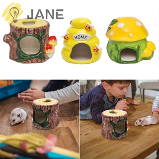 Jane บ้านหนูแฮมสเตอร์ เซรามิค ลายการ์ตูน แก้ความร้อน ทําความสะอาดง่าย สําหรับสัตว์เลี้ยง หนูแฮมสเตอร์