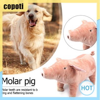 ของเล่นตุ๊กตาหมูกัด กันการกัด สําหรับสัตว์เลี้ยง สุนัข [copoti.th]