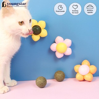 Youngstar ของเล่นลูกบอลทําความสะอาดฟัน สําหรับสัตว์เลี้ยง แมว O9S1