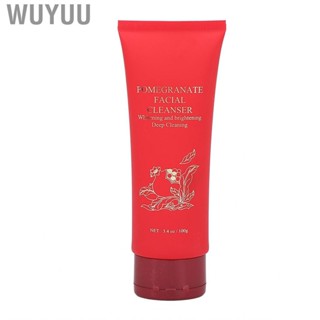 Wuyuu Face Wash   Gentle 100g Moisturizing Facial  for All Skin Types Travel