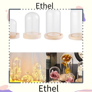 Ethel1 ขวดโหลแก้วใส สําหรับใส่ดอกไม้