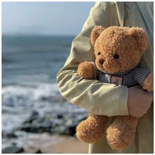 Bear Doll Woolen Bear Plush Toy Teddy Bear Plush Toy Lovely Doll Children Birthday Gifts