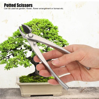 My Green Garden Bonsai Scissors 165mm Stainless Steel with Ergonomic Handle for Modeling Flower จัดดอกไม้