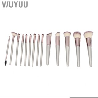 Wuyuu 14x Makeup Brush Pro Travel Soft Hair  Loose