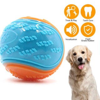 Ball Toy, Interactive Dog Toys Ball with Fun Squeaky Sound Chewing Toy