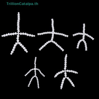 Trillioncatalpa ตุ๊กตากระดูกข้อต่อ แบบยืดหยุ่น เสียงเงียบ DIY